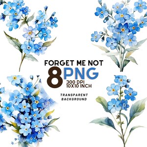 Watercolor blue forget-me-not flower PNG set with transparent background, 8 PNGs