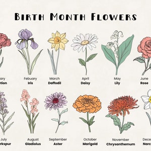 Watercolor birth month flowers clipart bundle with monthly flower illustrations