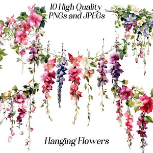 Watercolor hanging flowers clipart with multicolor floral clusters, printable PNG/JPEG set