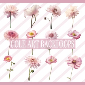 Pink flower overlay graphics with stems and blossoms, set of floral elements