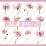 Pink Flower Overlays, Maternity Overlays, Floral Clip Art, Floral Graphics, Photoshop Overlays