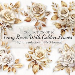 Ivory rose clipart collection with golden leaves, 20 designs, PNG format