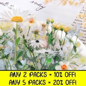 Pressed flower stickers sheet with assorted daisies, wildflowers, and greenery