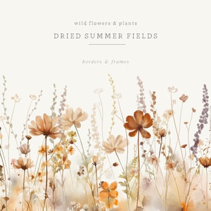 Watercolor wildflower clipart with dried summer fields plants and stems border