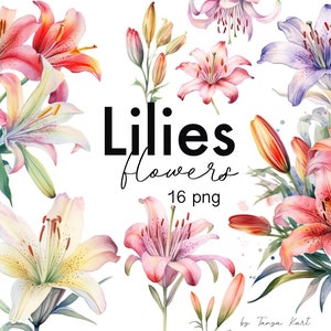 Watercolor lilies floral clipart, 16 PNG bouquet elements with pink and purple flowers