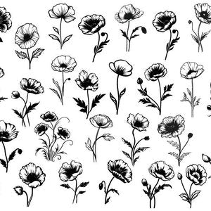 Botanical flower SVG bundle with black line wildflower clipart, single-stem illustrations