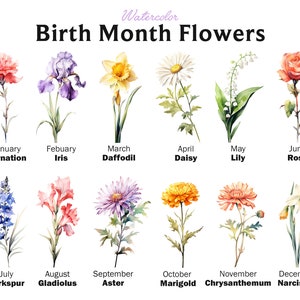 Watercolor birth month flower clipart bundle with 12 labeled flowers and dates