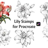 32 Lily Procreate Stamp, Procreate Stamps, Procreate Brushes, Procreate Brush Set, Flower Stamps, Procreate Flower, Lily, Procreate Tattoo