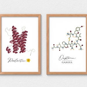 Set of 2 framed pressed-flower wall art prints: Oxytocin and Prolactin.