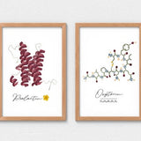 Set of 2 Oxytocin and Prolactin Office Wall Art Made with Pressed Flowers, Midwife, Doula, OBGYN Office DŽcor