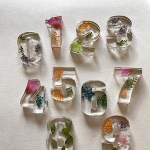 Translucent resin alphabet and number loose parts with floral spring designs