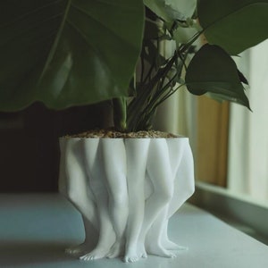 White abstract multi-leg planter vase with leafy plant on top