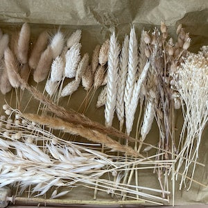 Beige and white dried flower confetti sprigs with stems, DIY set