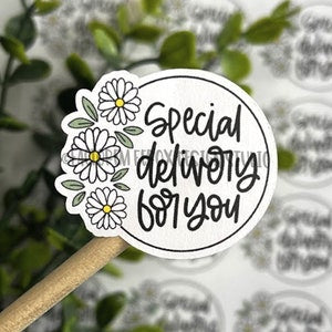 Special Delivery Daisy Frame Sticker©, Thank You Sticker, Small Shop, Small Business, Spring Flower, Shipping Supplies, Daisy Sticker