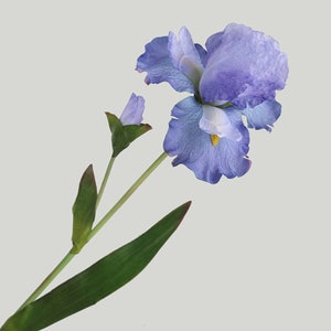 Artificial iris flower arrangement with blue-purple blossoms and green stems