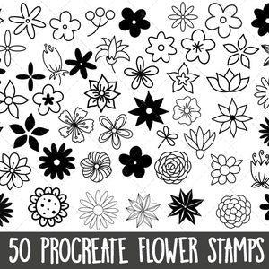 Botanical flower stamp bundle with 50 black-and-white flower icons and outlines