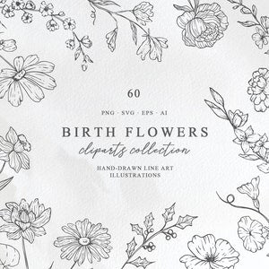 Birth month flower clipart set with black line-art botanical illustrations and flowers