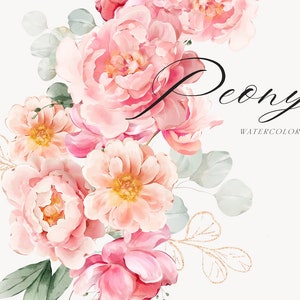Watercolor peony floral clipart with pink peonies, eucalyptus leaves, and gold accents