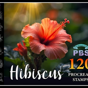 Hibiscus flower stamp design with coral pink petals and stamen, Procreate 120 pack
