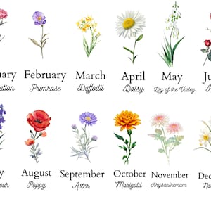Watercolor birth-flower clipart set with monthly flowers and month labels, transparent-style
