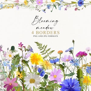 Colorful wildflower floral border clipart with meadow flowers and leaves