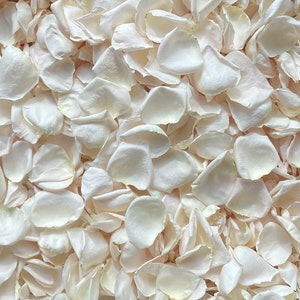 Ivory freeze-dried rose petals, scattered close-up for wedding decor