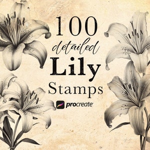 Detailed lily flower procreate stamp brushes set with lilium blossom illustrations