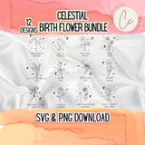 Zodiac Birth Month Flower SVG Bundle Birth Flower svg, Botanical svg, Wildflower svg, Floral svg, Zodiac svg