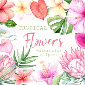 Watercolor tropical flower clipart set with hibiscus, leaves, and soft pastel blooms