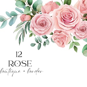 Watercolor rose and eucalyptus clipart with light pink blooms and green leaves