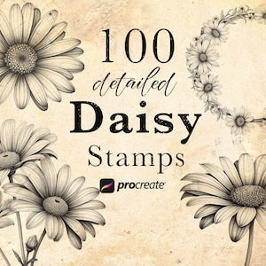Daisy Flower Procreate Stamp Brushes | Daisies Blossom Stamps | April Birth Flower Brushes | Tattoo Stamps | Botanical Stamps |