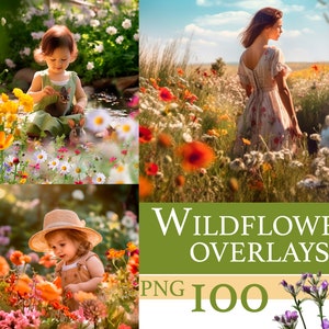 Wildflower floral overlay set for photo editing, with sunlit meadow and bouquet-style flowers