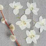 Pressed flowers for crafts, resin, scrapbooks, journals, ephemera, cardmaking - 20 pcs Dried Larkspur flower - White
