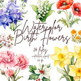 Birth Flower Clipart Birth Month Flowers Clipart Watercolor Birth Month Clipart Birth Flower SVG | PNG, Commercial Use, Instant Download