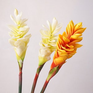Artificial ginger flower stems with white and orange layered blooms on green stems