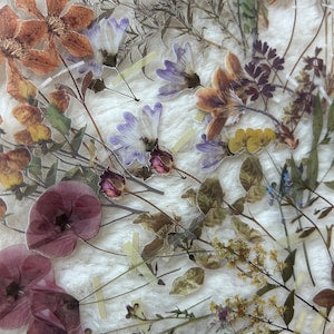 Transparent flower stickers set with colorful pressed blooms on a clear sheet