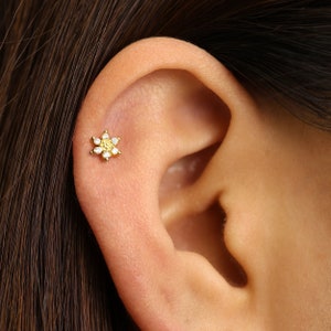 Tiny flower flat-back labret earring stud in gold-tone on outer ear