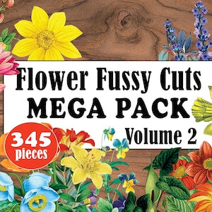 Digital fussy cut flower bundle, Volume 2, 345 pieces, colorful flower collage