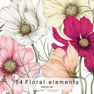 Watercolor flower clipart set with white, pink, peach, and magenta blossoms