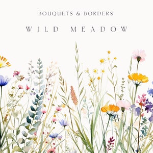 Watercolor wild meadow flower clipart set with mixed wildflowers and green stems