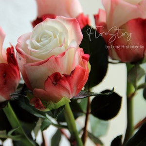 Realistic rose bouquet with white and pink-red blooms and green leaves
