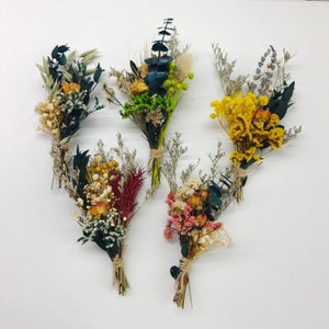 Mini dry flower bouquet set of small dried blooms and foliage in blue, yellow, and red