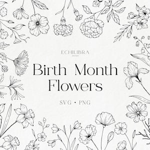 Hand-drawn birth month flowers illustration with floral border and central title text
