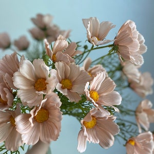 Real Touch Cosmos Wildflower Stem - High Quality Artificial Flowers / Wedding / DIY Floral / Home Decoration / Gifts / Beige Tan
