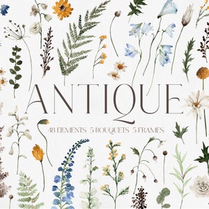 Antique watercolor wildflower clipart set with bouquets, frames, and floral elements