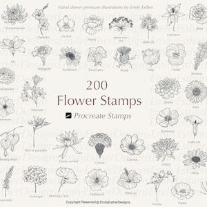 Floral procreate stamp set sheet with black botanical line drawings, 200 stamp designs
