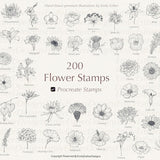 200 Procreate Flower Stamps | Procreate Flower Stamps | Floral Procreate | Procreate Botanical | Flower Stamps | Procreate Flower Brushes
