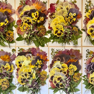 70 pcs 'Sunrise' *EDIBLE* XL PREMIUM pressed flowers & herbs - Chemical free, garden grown, hand pressed for baking/decorating