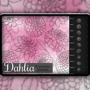 Dahlia procreate stamp set with 25 dahlia flower brush outline designs