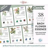 Bach Flower Cards with Crystals, Bach Remedy Healing Cards, Bach Flower Essence Crystal Cards, Printable Natural Healing Flower Card Canva
